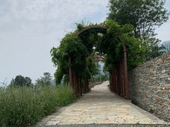 -紫云台香草园