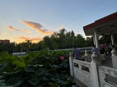 -丰台花园