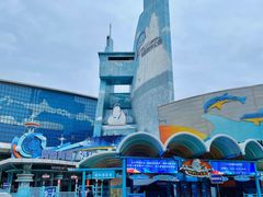 -海合安青岛极地海洋公园