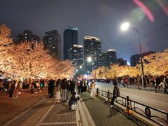 -西北湖绿化广场