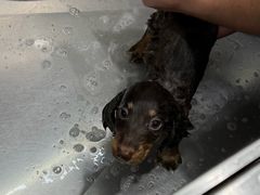 -它主义宠物(梁溪万达店)