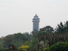 -塔子山公园