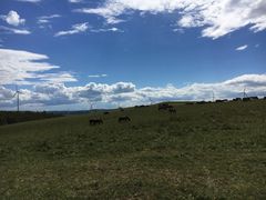 -塞罕坝国家级自然保护区