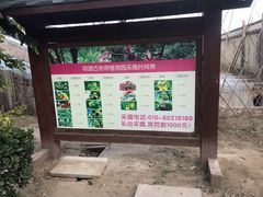 -呀路古热带植物园