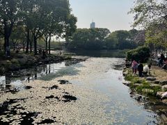 -无锡蠡湖国家湿地公园-蠡园