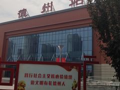 -德州站