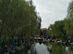 -西安青龙寺遗址景区