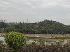 -东莞植物园