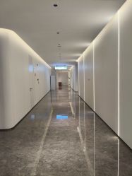 -广州美莱医疗美容医院