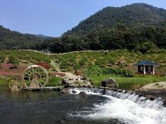 -广州市石门国家森林公园