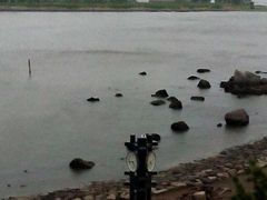 -台场海滨公园船码头