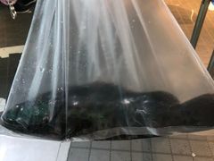 -盒马鲜生(杭州运河上街店)