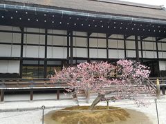 -京都御所