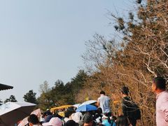 -木兰云雾山