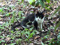 -上海佘山国家森林公园天马山园