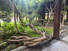 -晋祠公园
