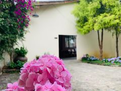 -金谷域澳洲庄园