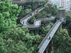 -福道