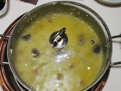 -洪氏嗨捞·猪肚鸡火锅(阳光天地店)