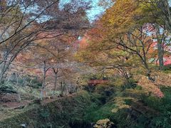 -三千院