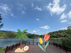 -海南热带雨林国家公园吊罗山景区