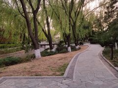 -菖蒲河公园