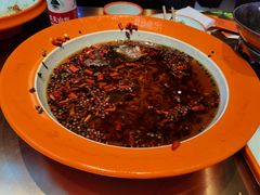 -向外鱼乐·土菜·虹鳟鱼