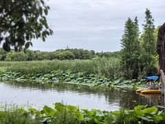 -同里国家湿地公园