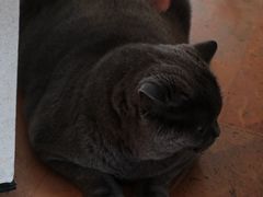 -Me Coffee下午茶艺术空间