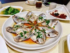 -阿莉餐厅(枣阳路店)