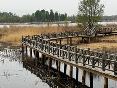 -野鸭湖国家湿地公园