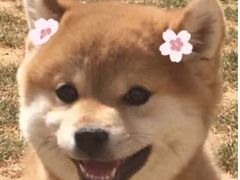 -筋骨堂热敷推拿按摩(雅居乐店)