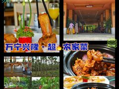-兴隆槟榔园休闲农庄