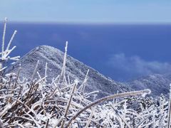 -东白山