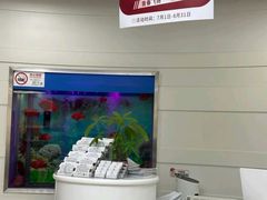 -雅悦齿科(顾村公园店)