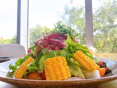 -Hatsune隐泉日式料理(三里屯太古里店)