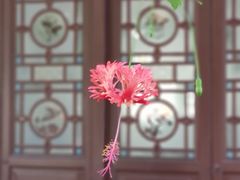 -佛山顺德香云纱园林酒店(清晖园店)