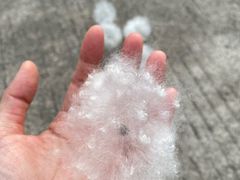 -广东花都香草世界旅游度假区