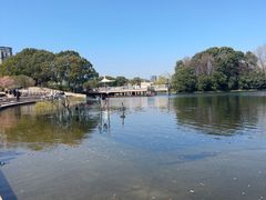 -新江湾城公园