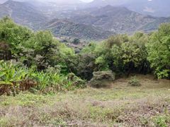 -广州市石门国家森林公园