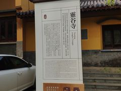 -灵谷景区