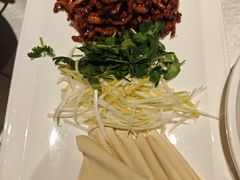 -大鸭梨烤鸭(望京店)