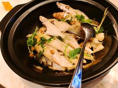 -嘉美轩·精细潮州菜·商务宴请(惠州佳兆业铂尔曼酒店)