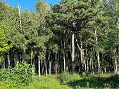 -长春市南湖公园