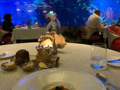 -迪拜帆船酒店海底餐厅