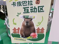 -万达广场(巴南店)