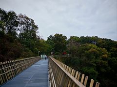 -福道