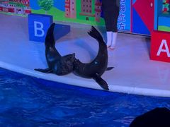-成都浩海立方海洋公园