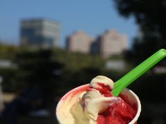 -Dal Cuore 达可芮冰淇淋(陕西北路店)