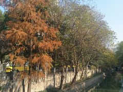 -品腐记·豆腐王朝(老门东总店)